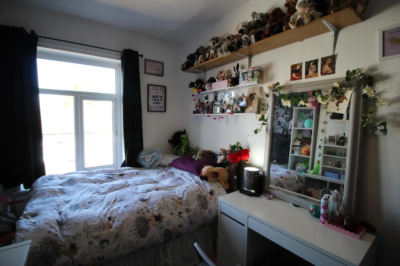 Redgrave Street, Oldham, OL4, photo 9