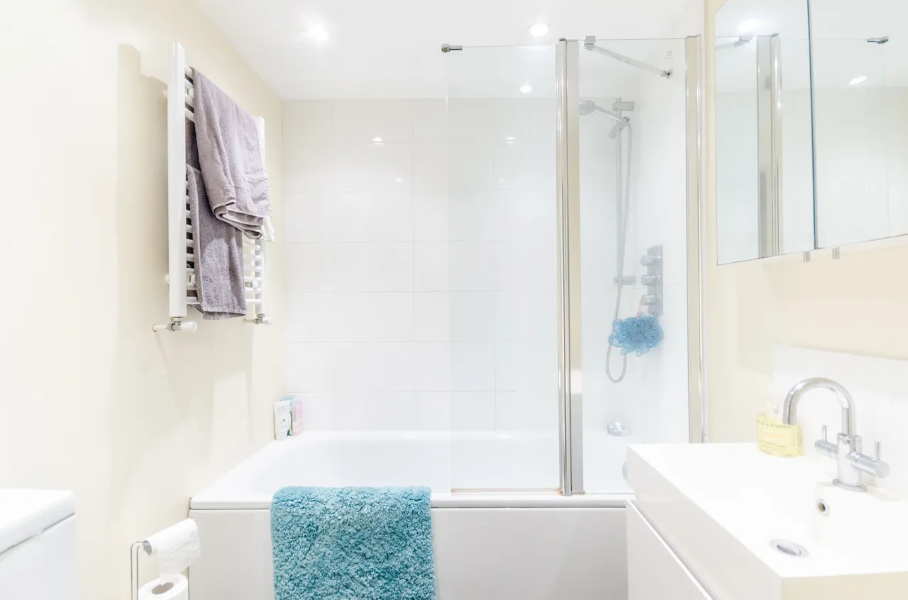 41b Lyham Road, London, photo 6