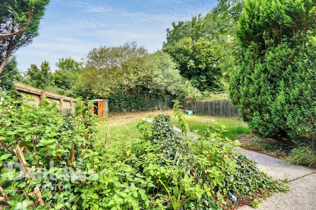 Frank Road, Cardiff, photo 9