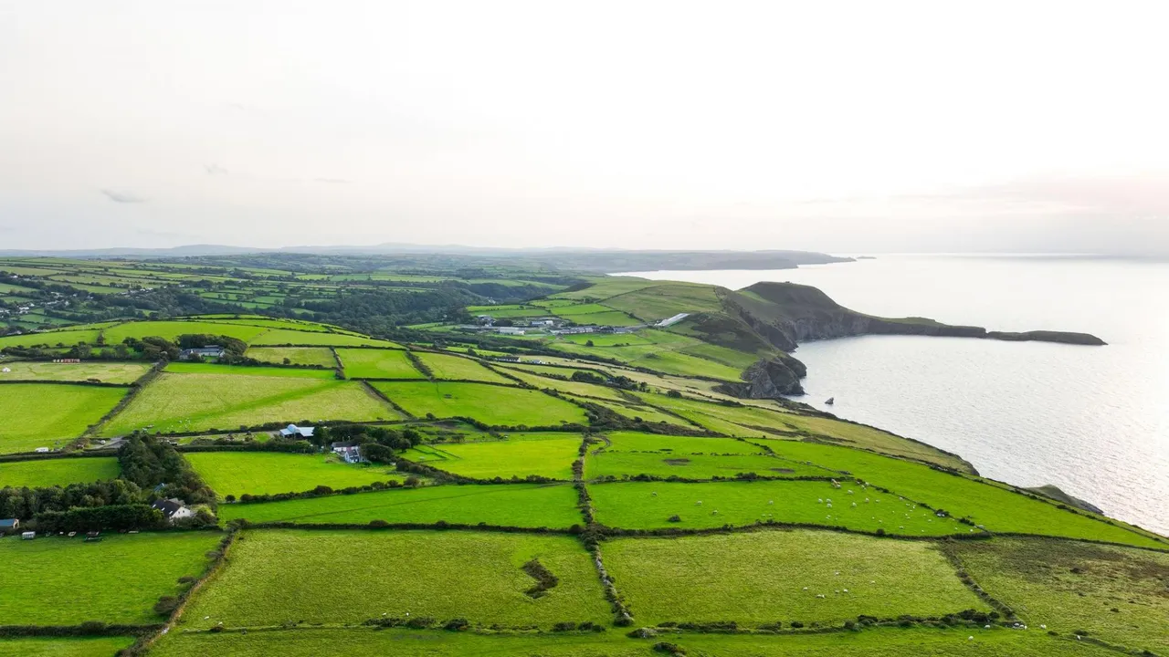 Erwan Fach, Llangrannog, SA44, photo 5