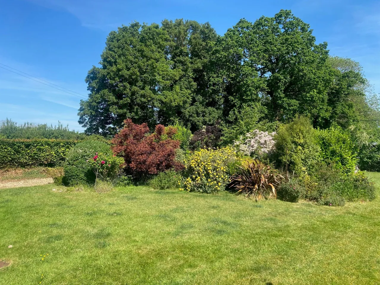 Watton, photo 17