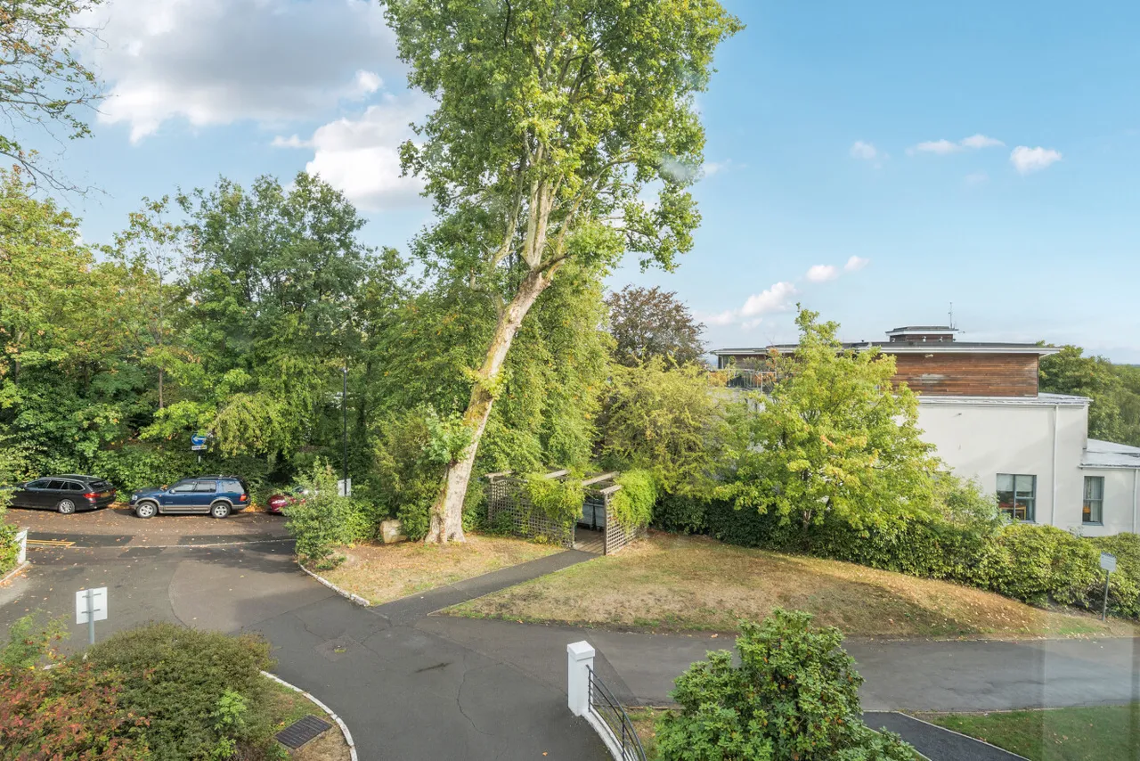 Taymount Grange, Taymount Rise, Forest Hill, London, SE23, photo 6