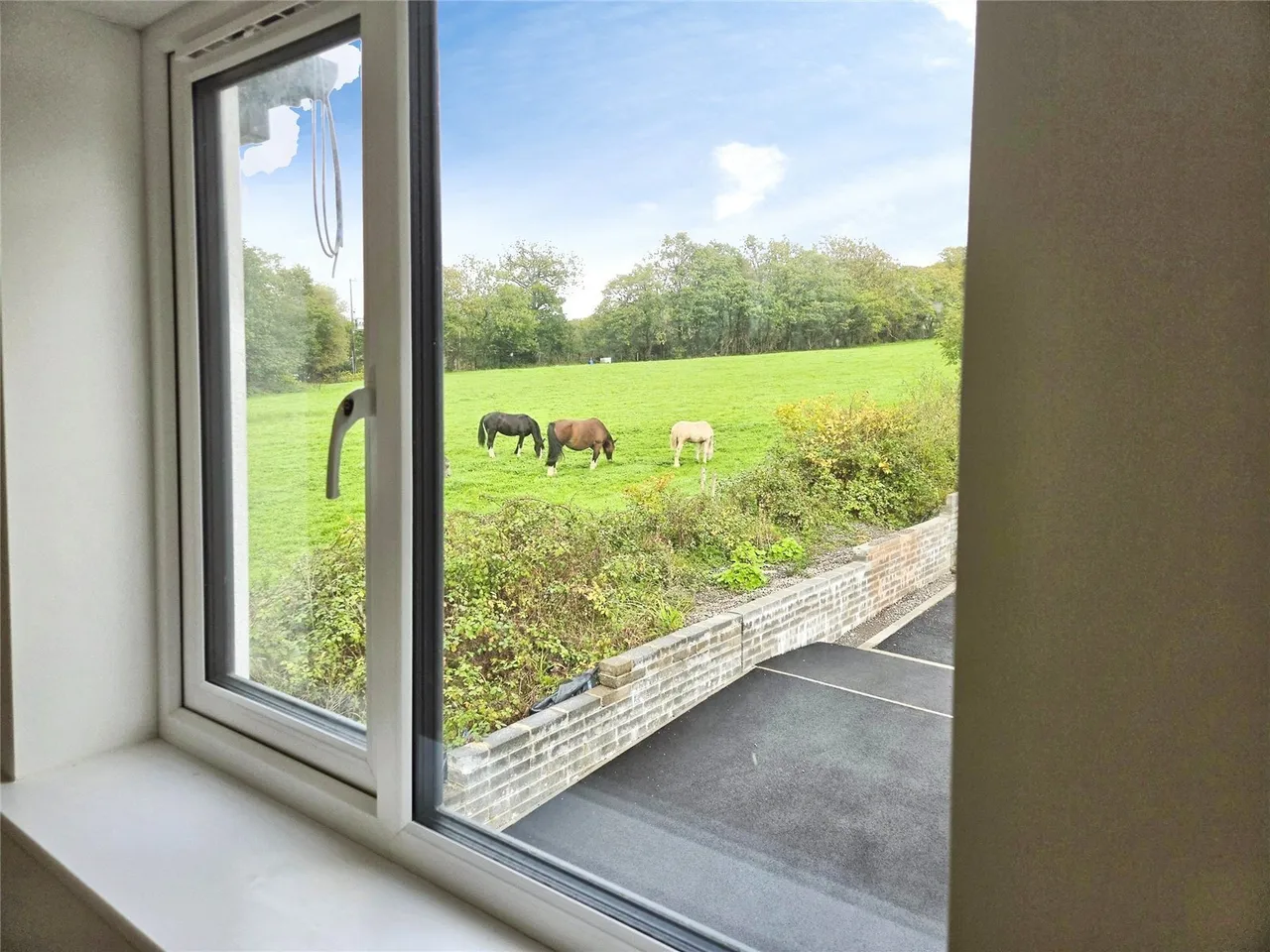 Llys Royal Oak, Rhydyfro, SA8, photo 10