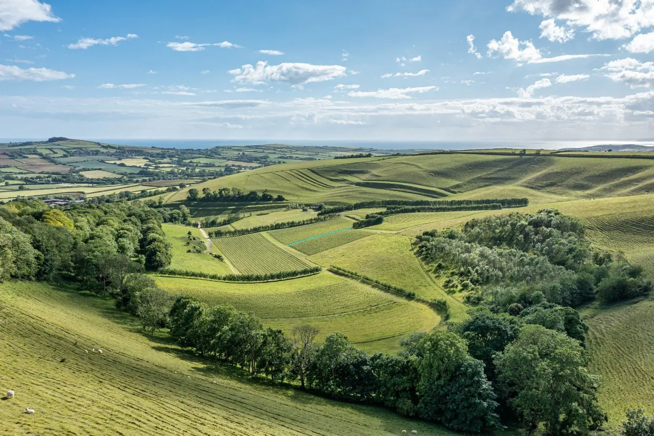 4 bed property for sale — Litton Cheney, Dorchester, Dorset, DT2 9GE