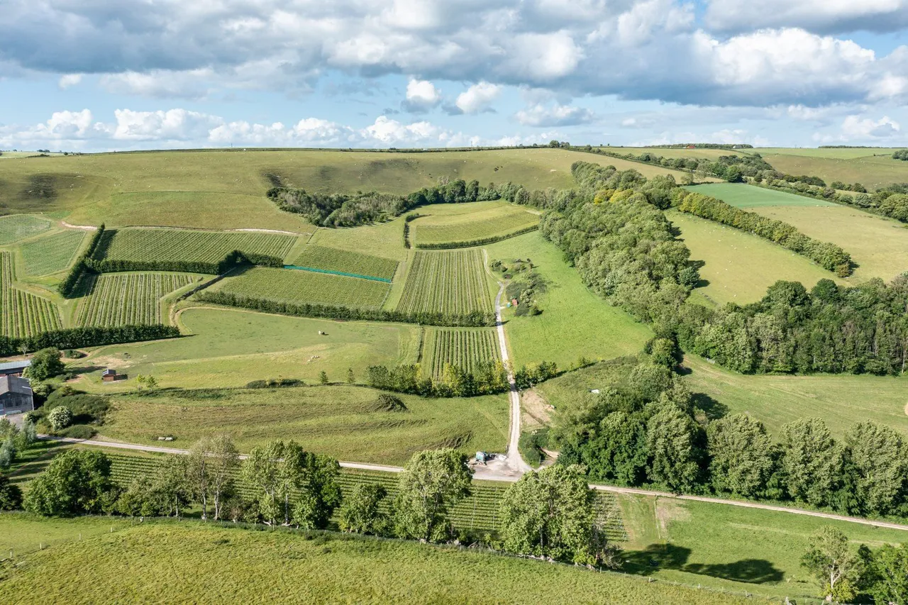Litton Cheney, Dorchester, Dorset, DT2 9GE, photo 4