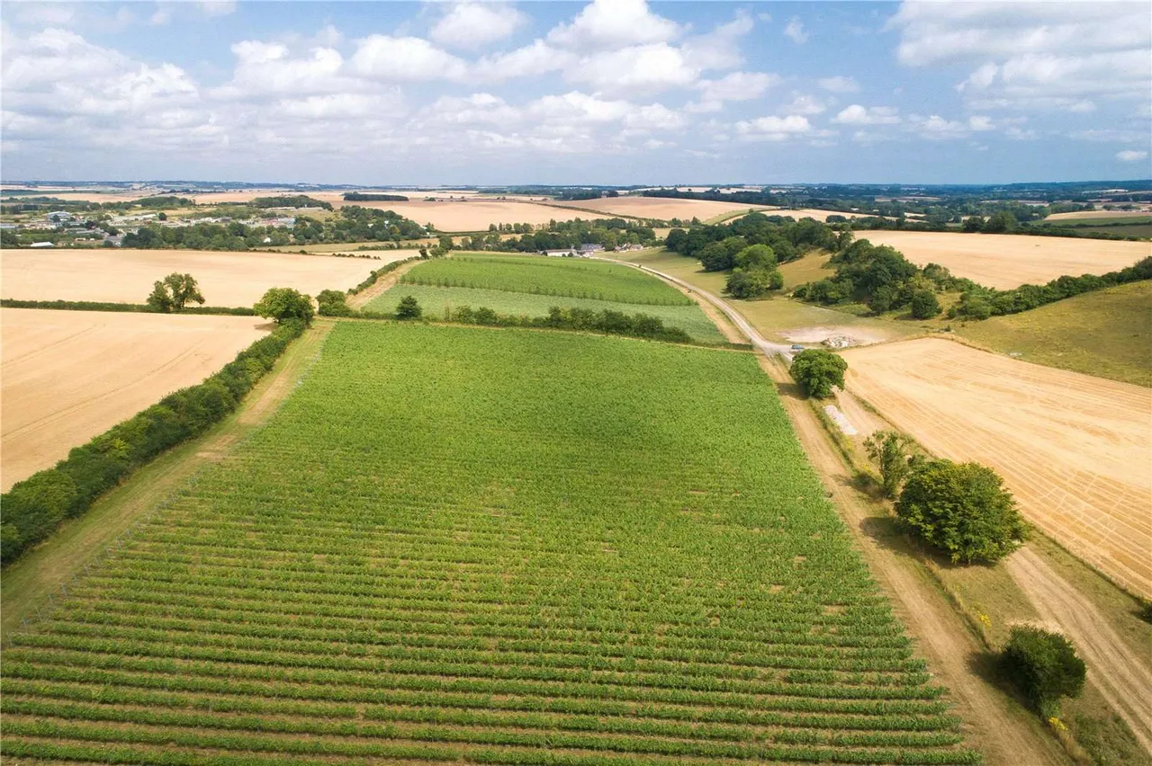 Piddlehinton, Dorchester, Dorset, DT2 7SY, photo 6