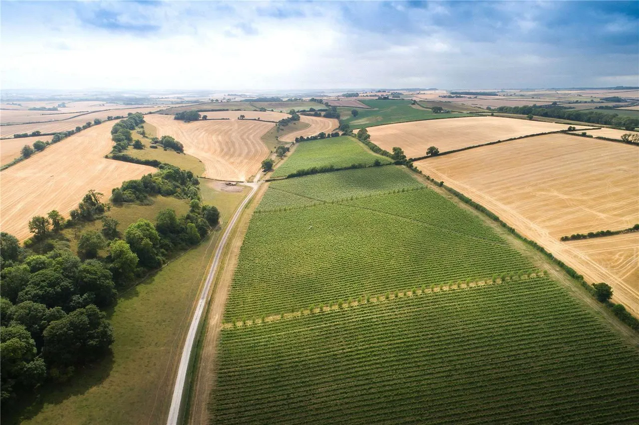 vineyard for sale — Piddlehinton, Dorchester, Dorset, DT2 7SY