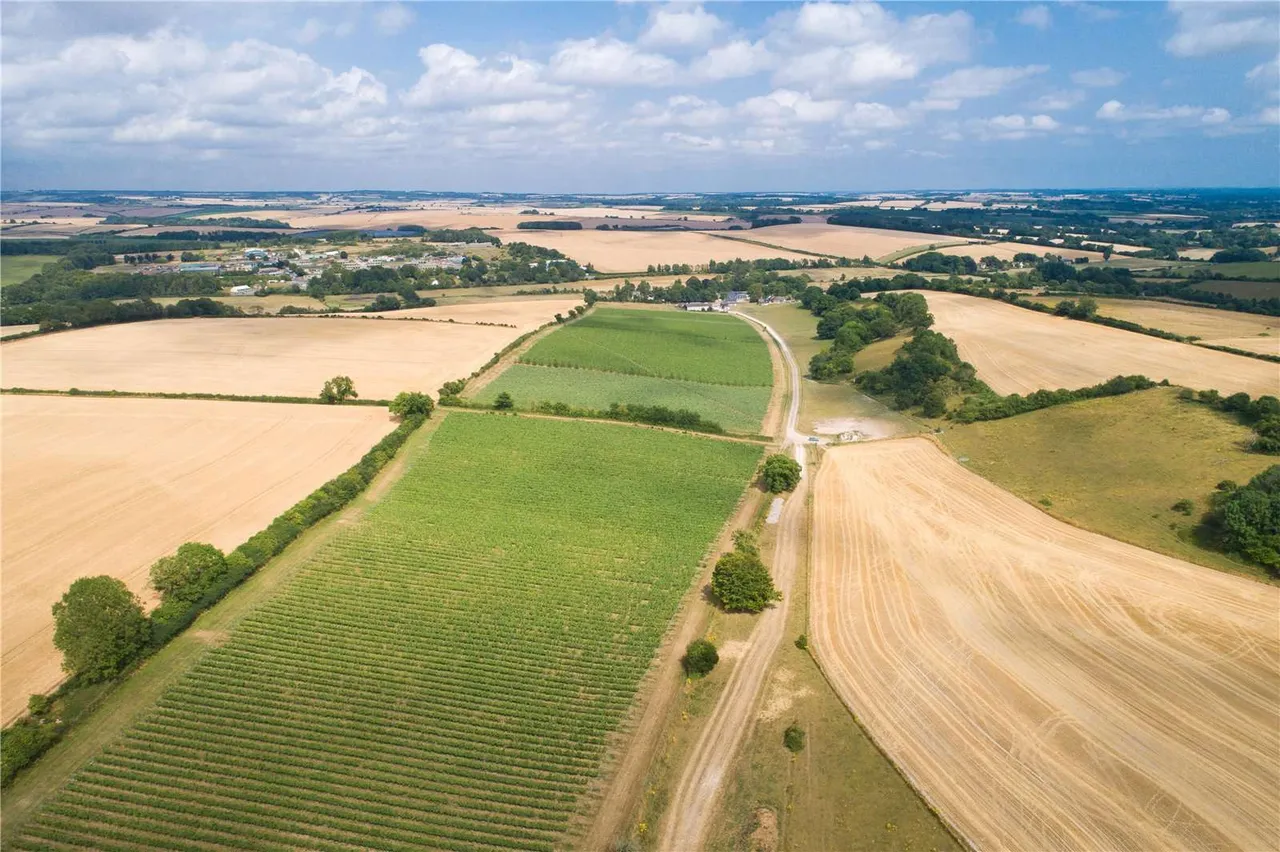 Piddlehinton, Dorchester, Dorset, DT2 7SY, photo 8