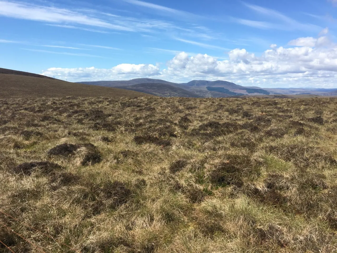 Navidale, Helmsdale, Sutherland, KW8 6JS, photo 5
