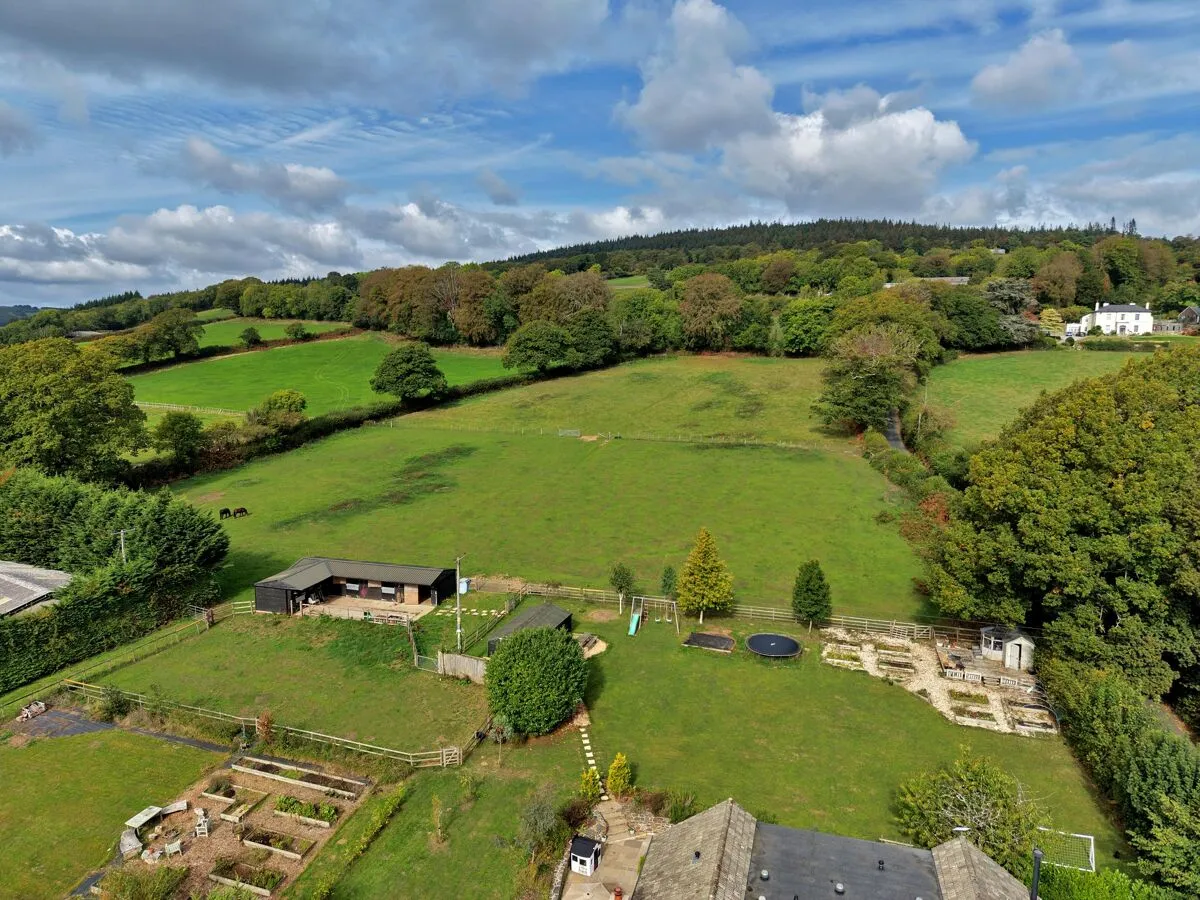 Ashburton, Newton Abbot, TQ13, photo 28