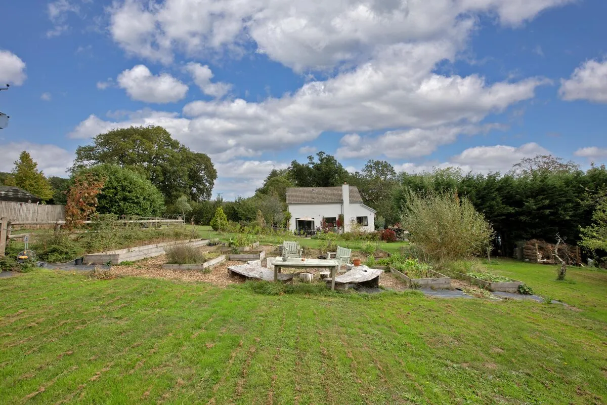 Ashburton, Newton Abbot, TQ13, photo 23