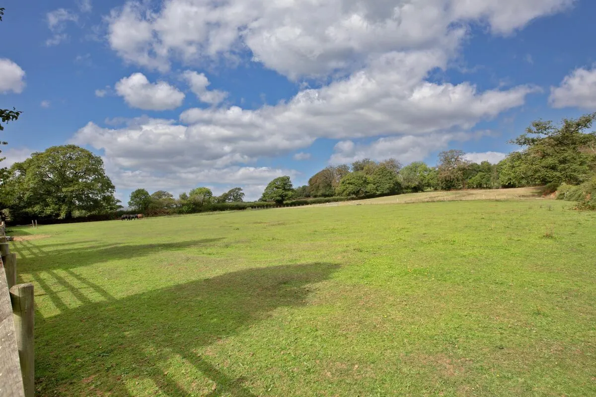 Ashburton, Newton Abbot, TQ13, photo 25