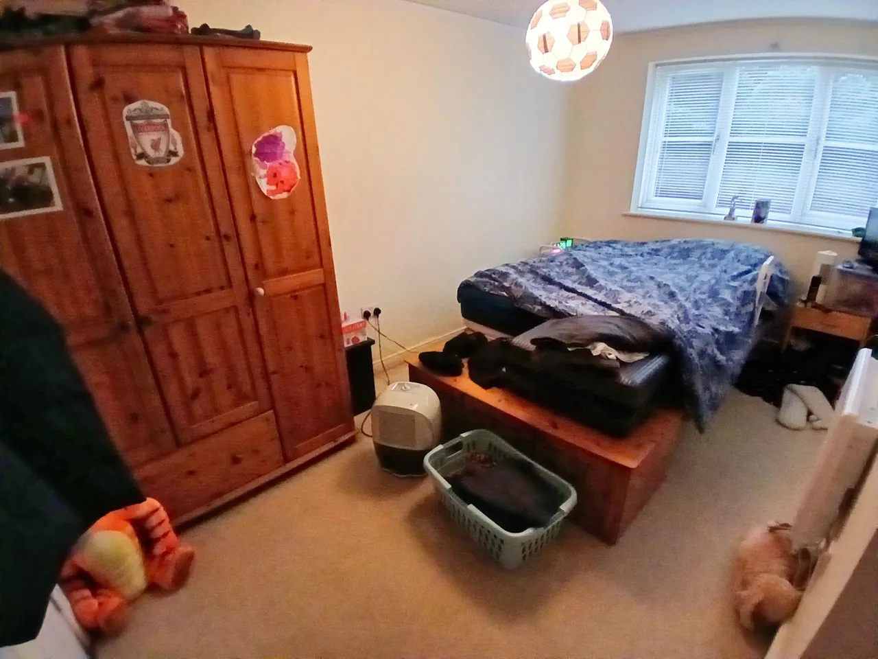 Isabelle Court, Rothwell Road, Kettering, NN16, photo 8