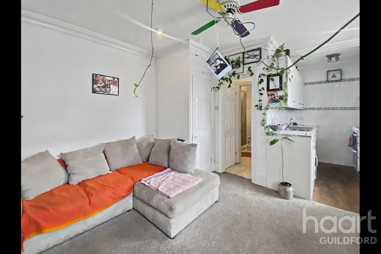 Woodbridge Road, Guildford, GU1, photo 8