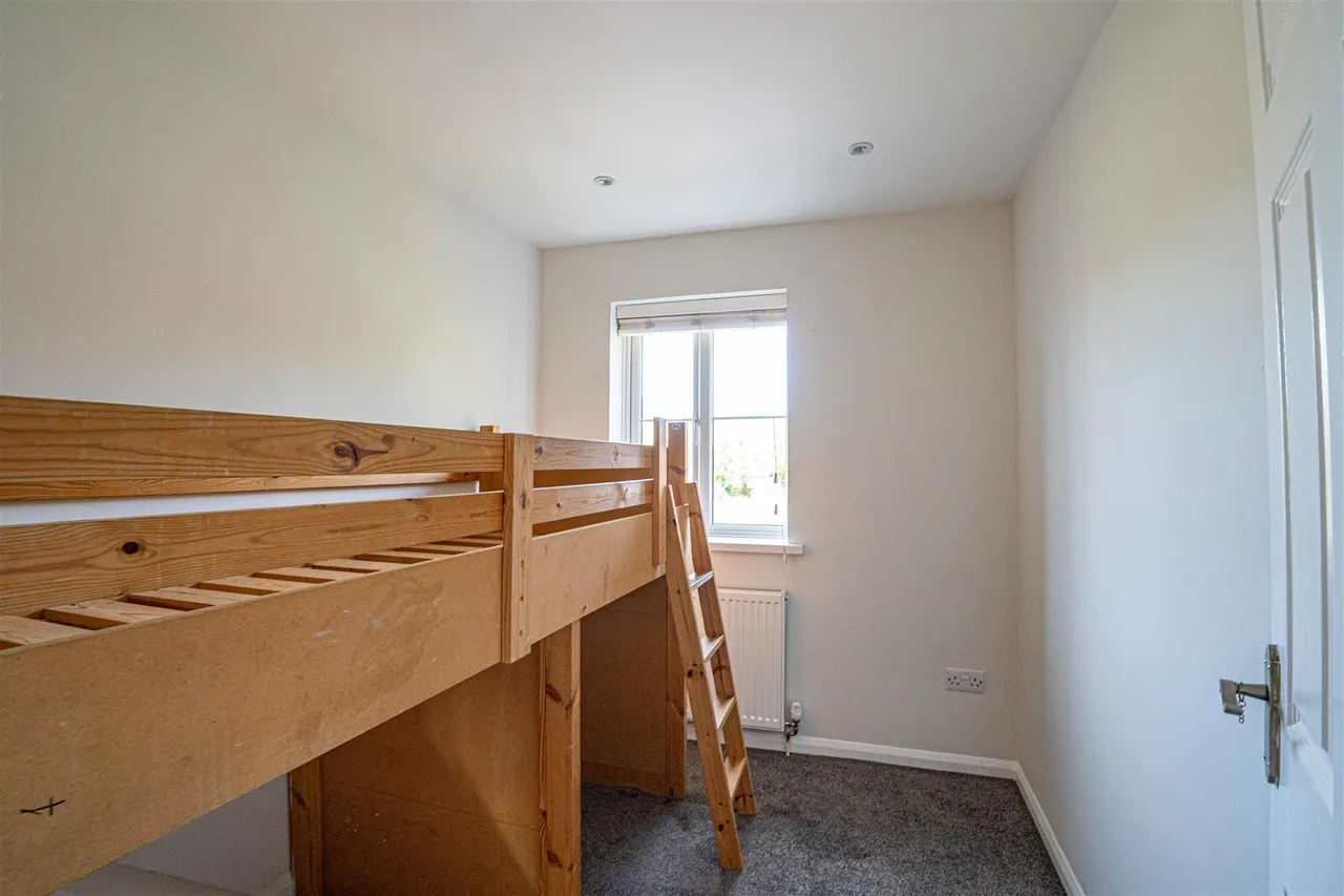 Alder Close, St. Leonards-On-Sea, photo 9