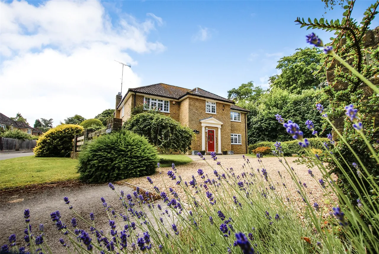 Phoenix Court, Hartley Wintney, Hook, Hampshire, RG27 8JQ, photo 16