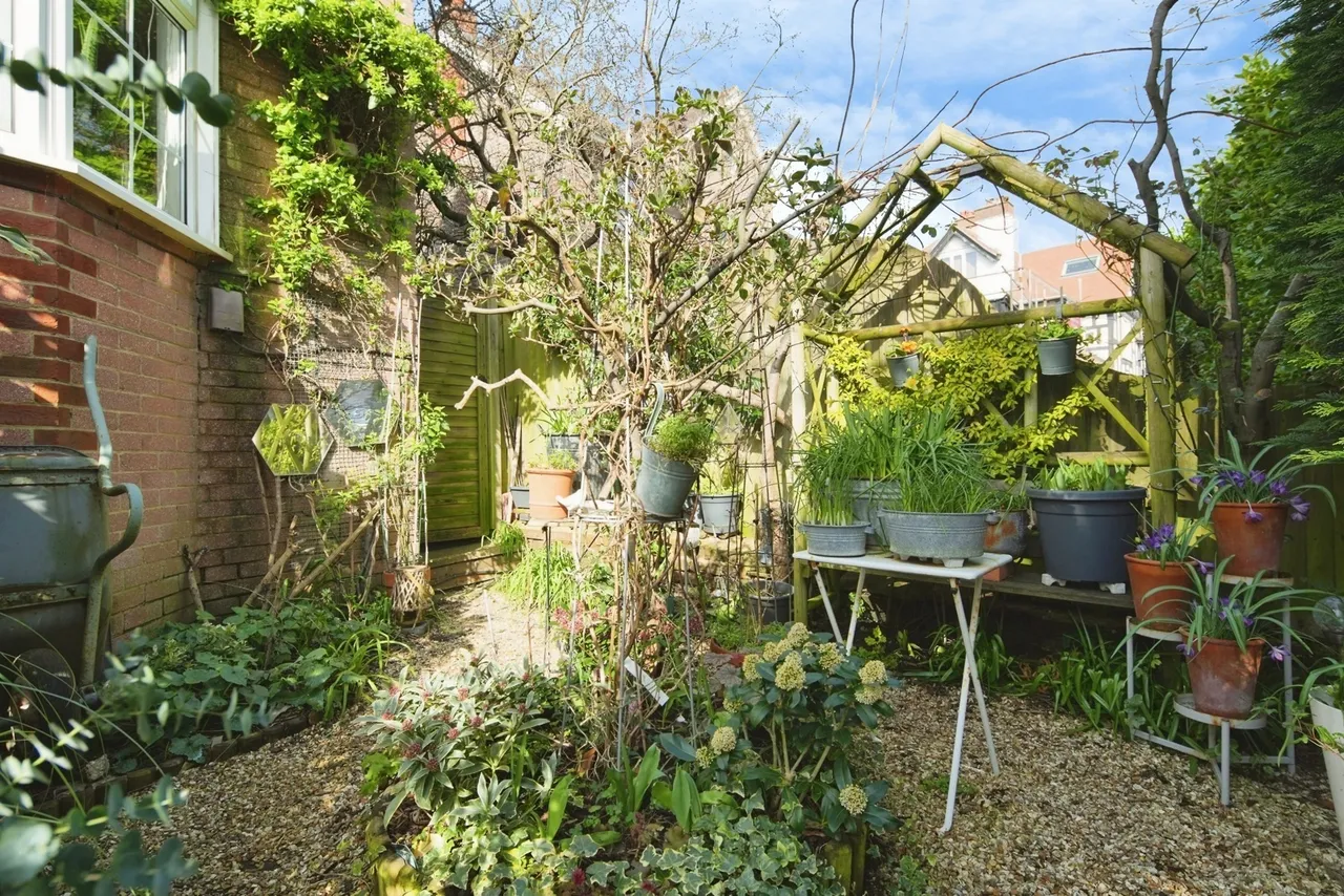 York Place, Hove, BN3, photo 25