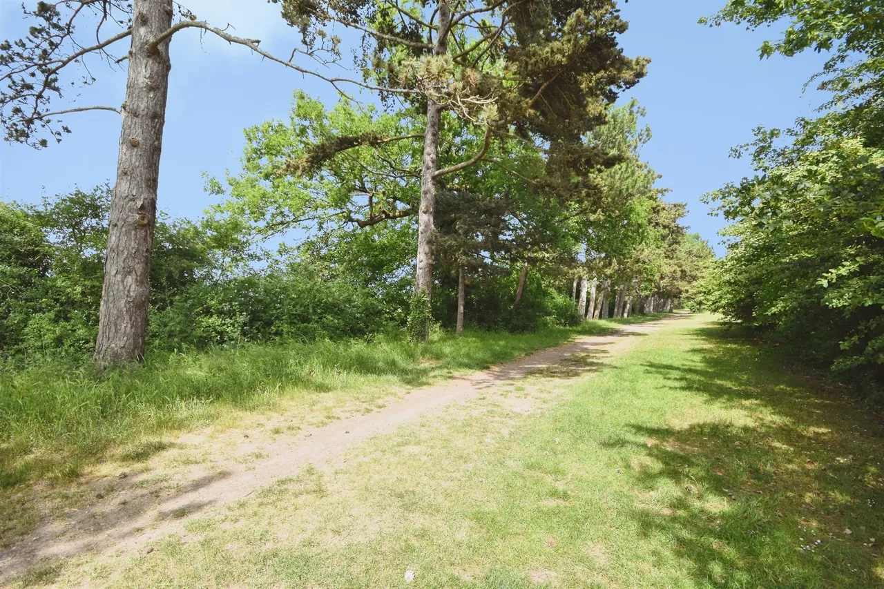 Mary Ruck Way, Black Notley, CM77, photo 10