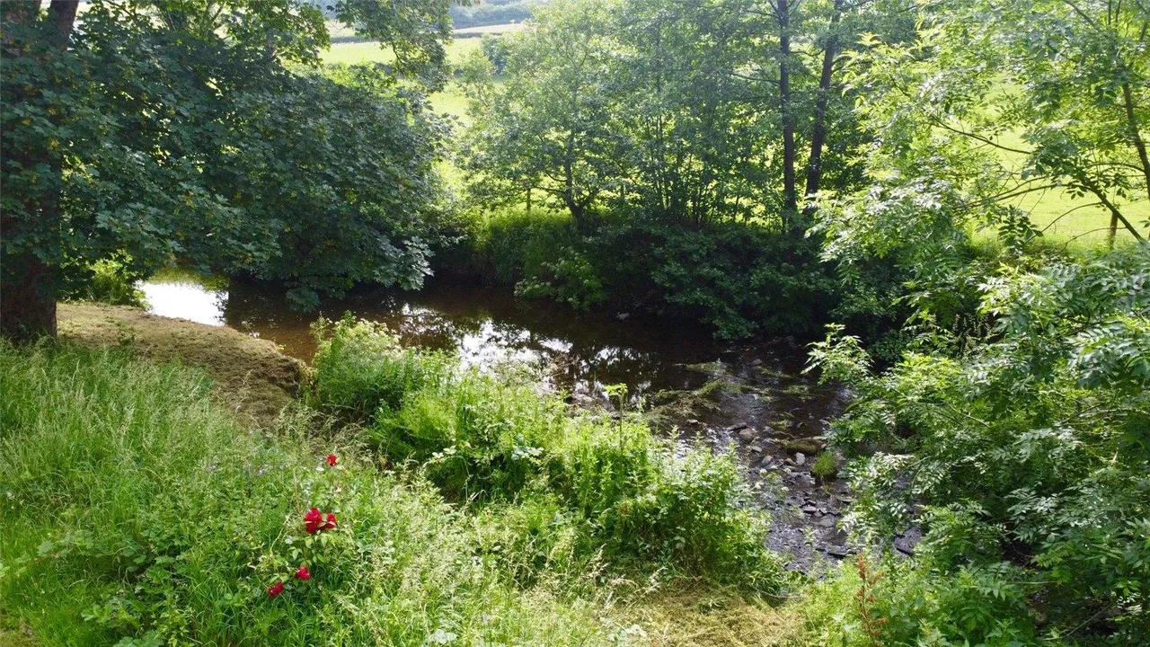 Cregrina, Llandrindod Wells, photo 29