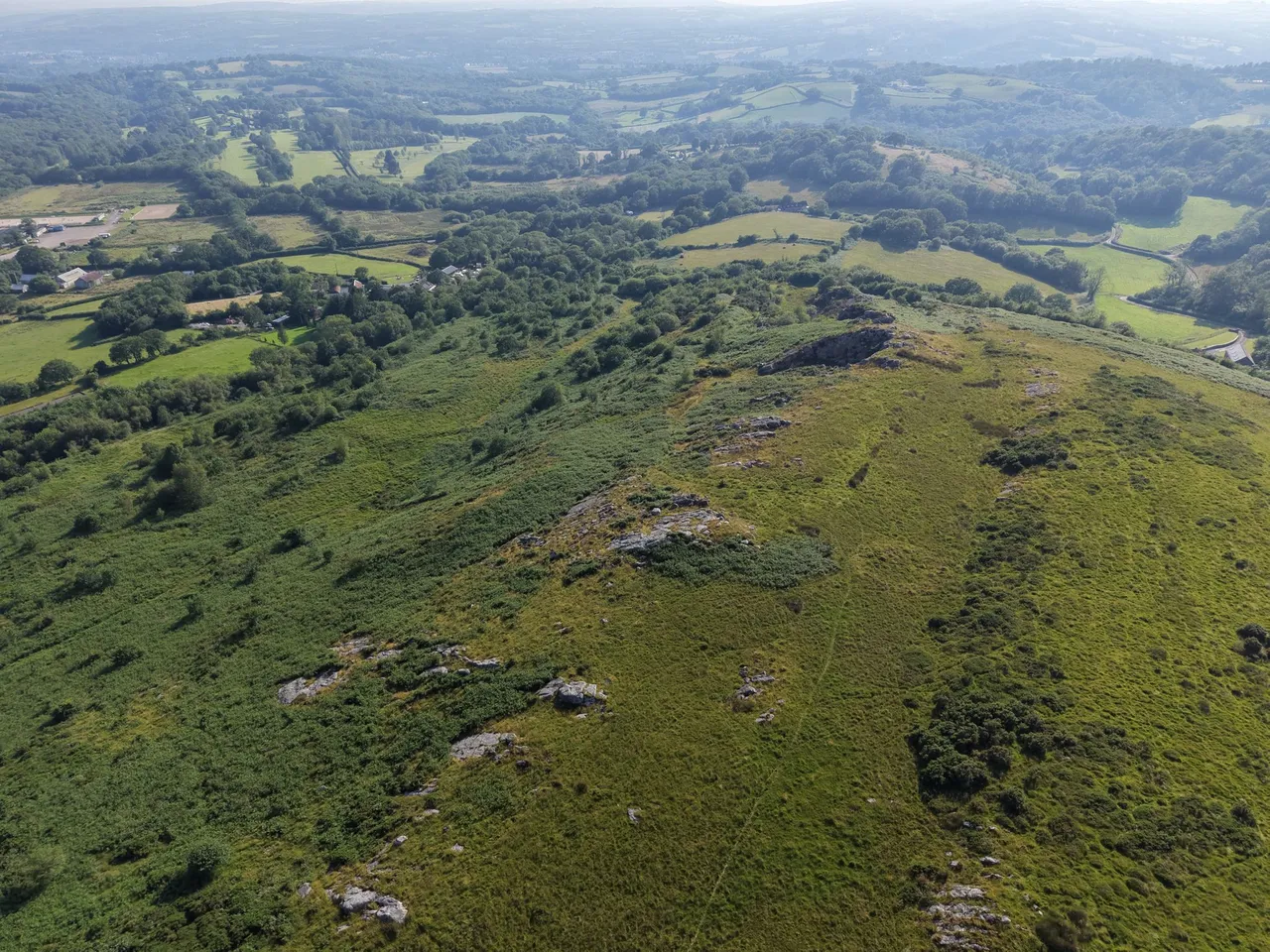 Trap, Llandeilo, SA18, photo 9