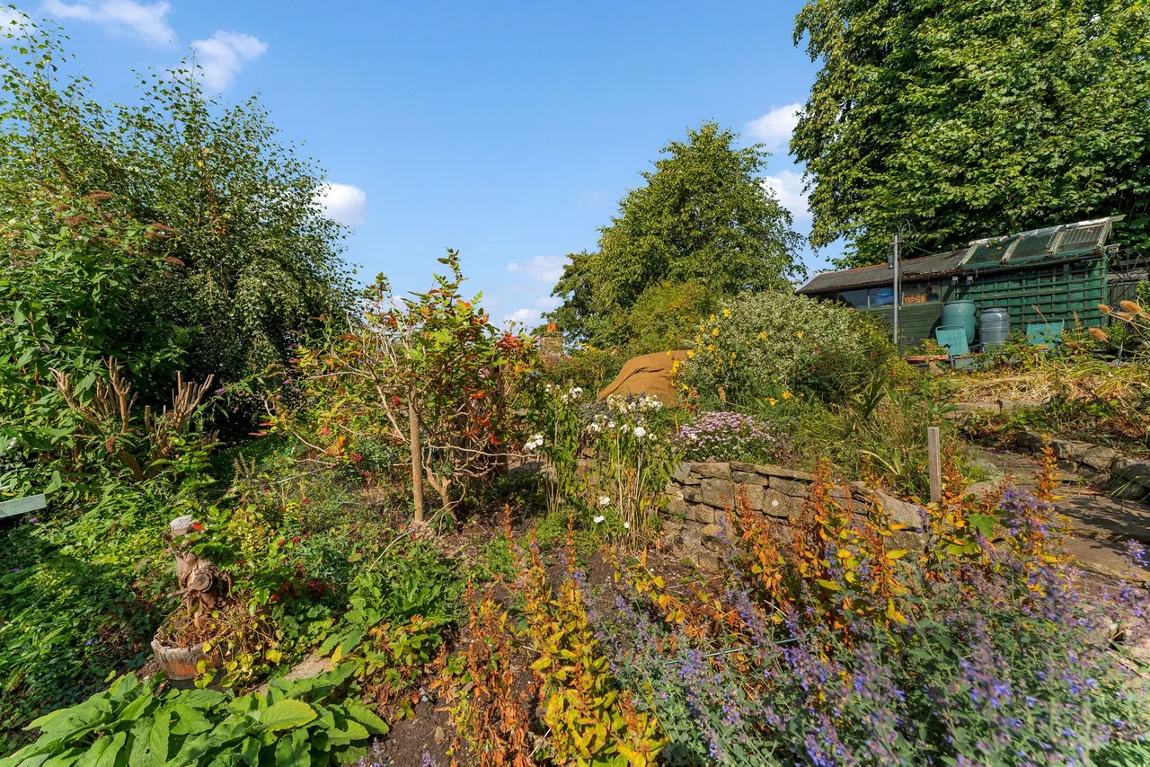 Bollington, Macclesfield, photo 50