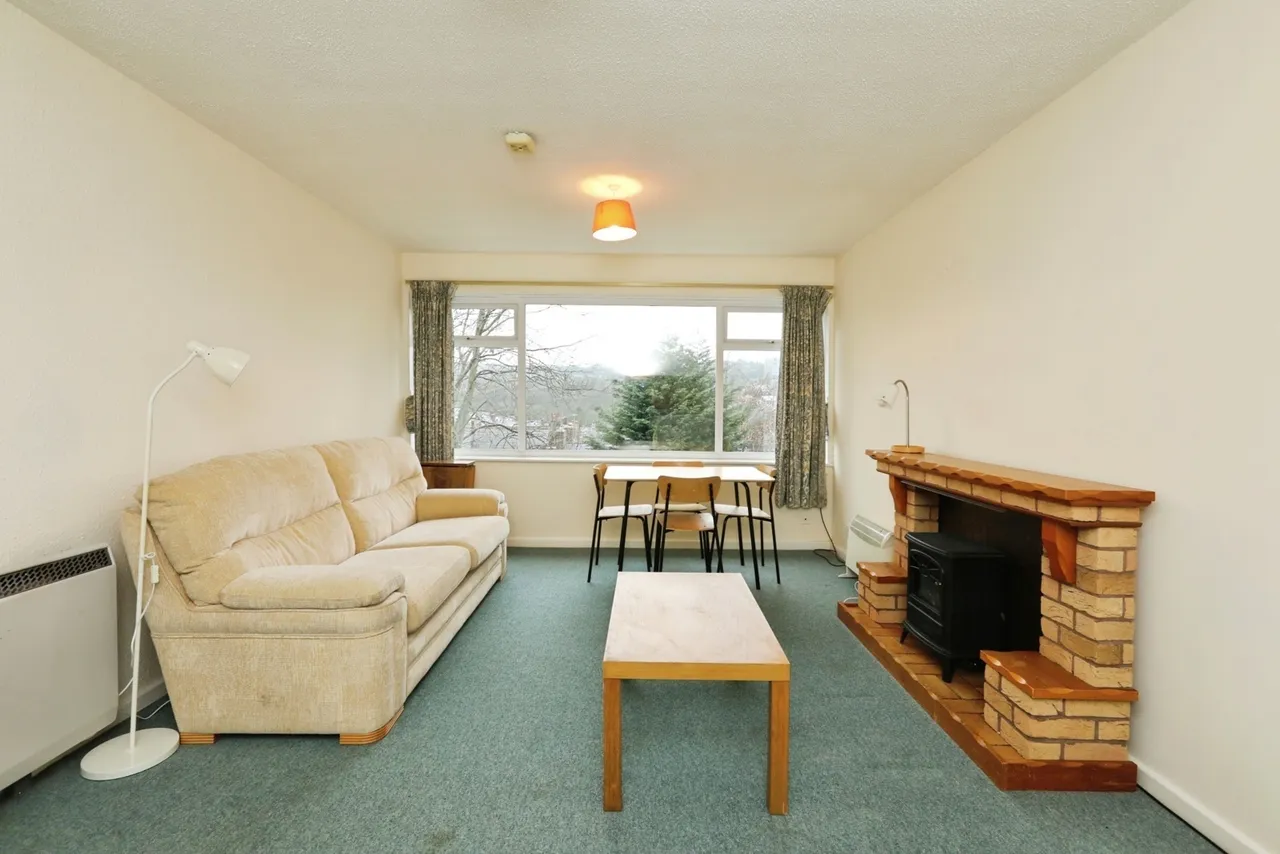 Psalter Lane, Sheffield, S11, photo 11