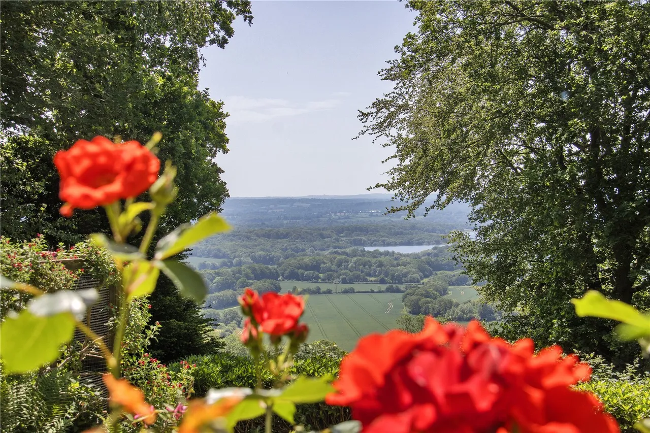 Hanging Bank, Ide Hill, TN14, photo 21