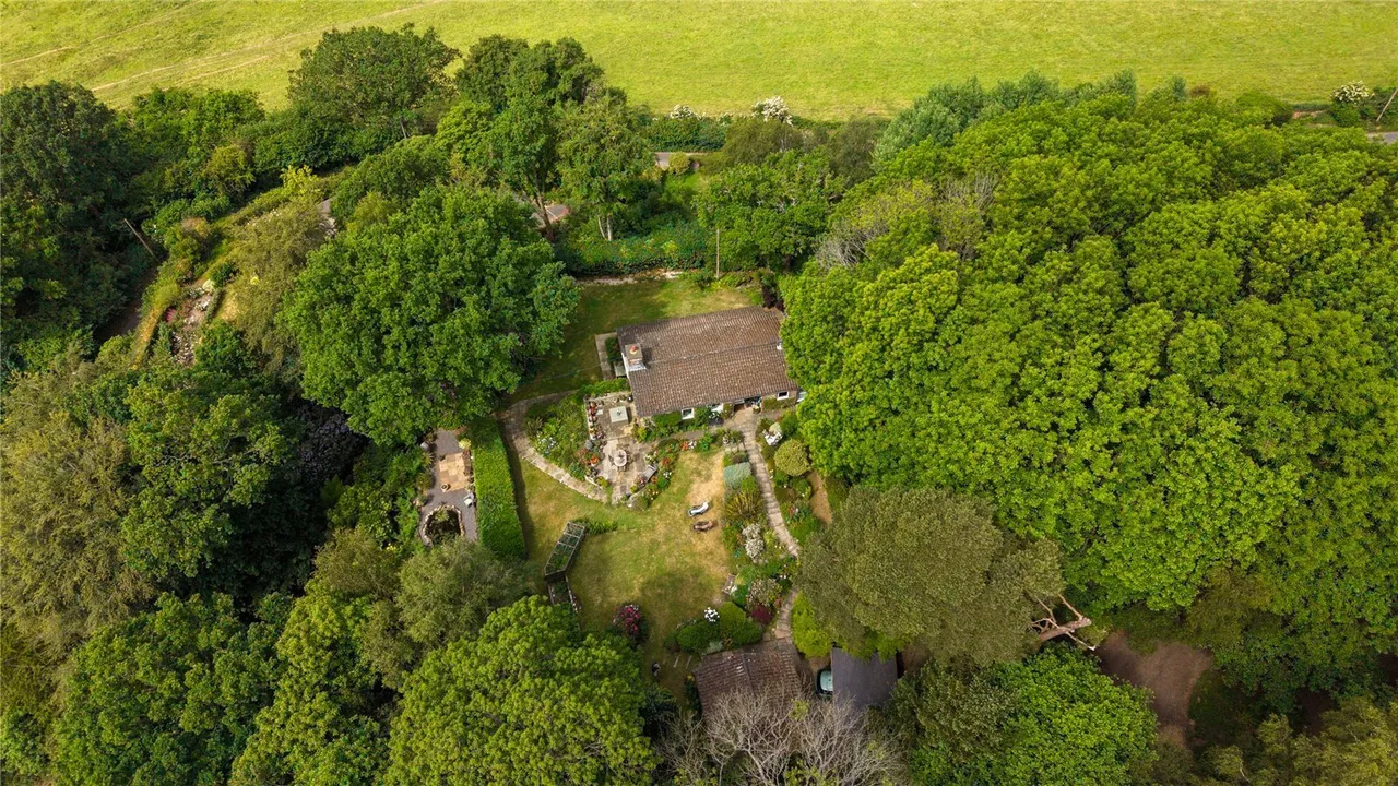 Hanging Bank, Ide Hill, TN14, photo 2