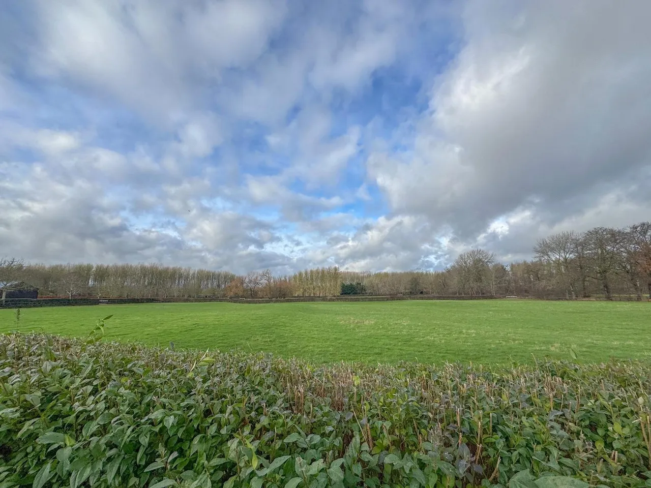 Plantation Stud Cottages, Plantation Stud, CB8, photo 19