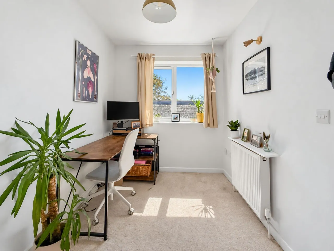 Hallyburton Road, Hove, BN3, photo 9