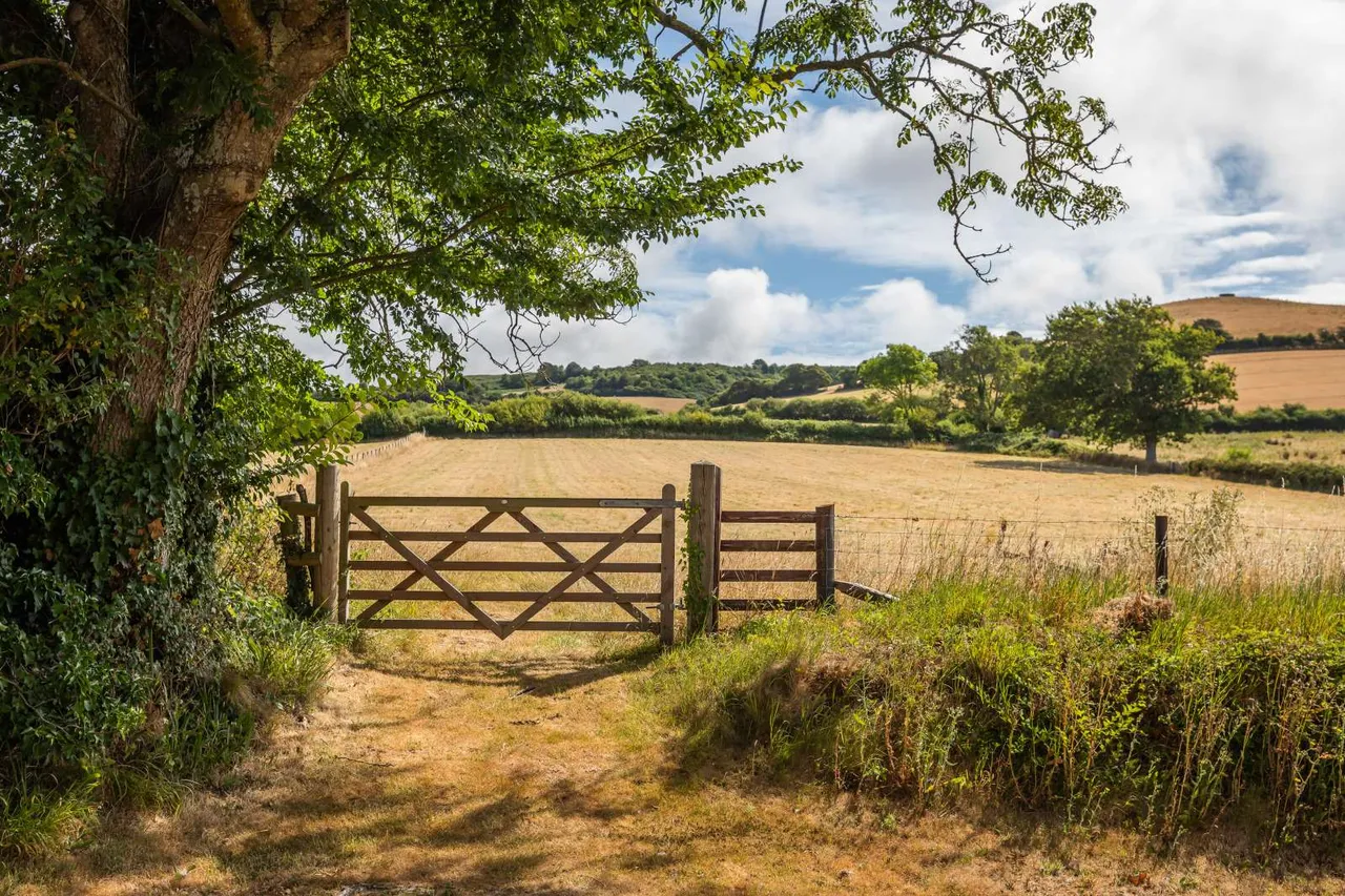 Chideock, Bridport, DT6, photo 19
