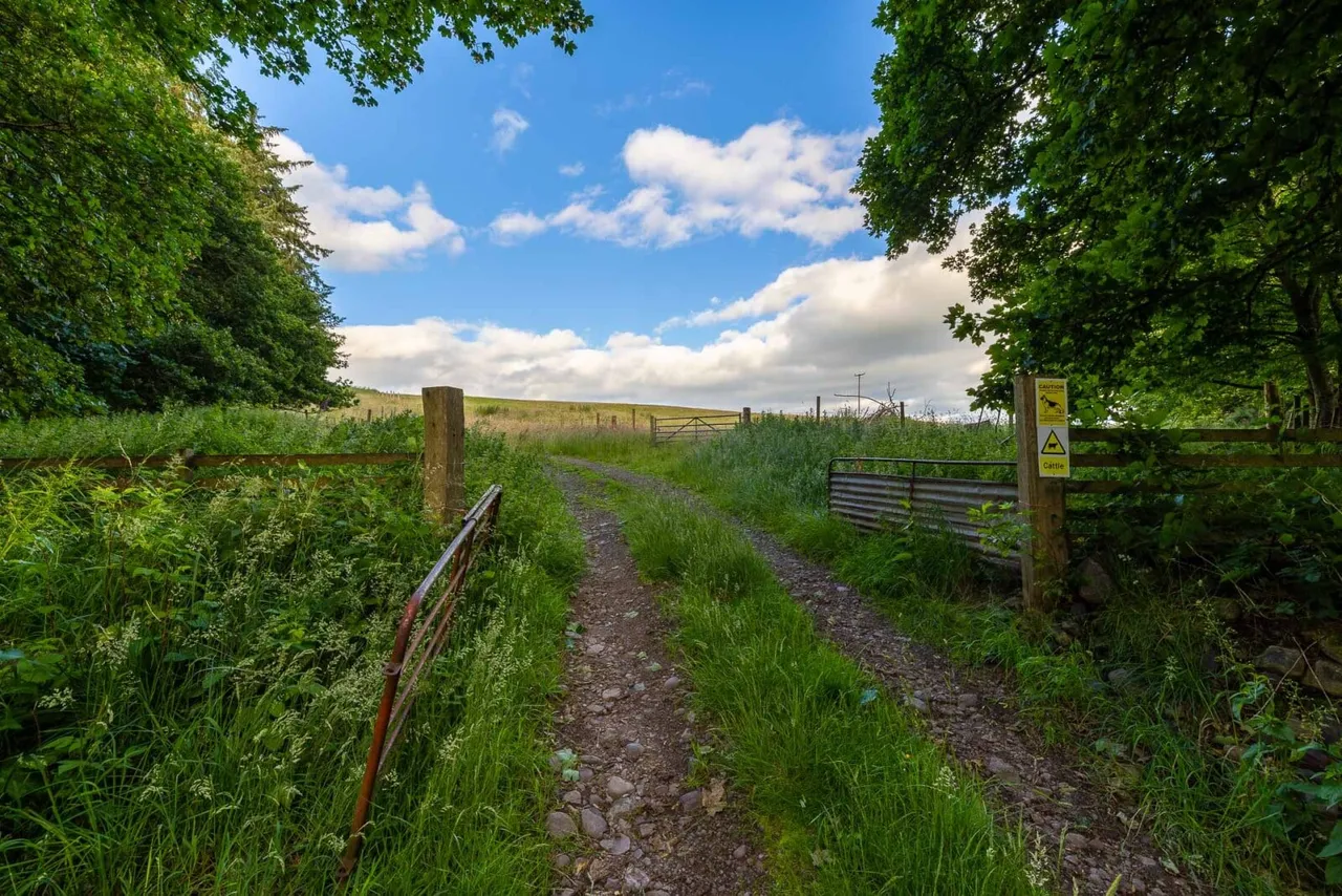 Land At Craighall Gate, Craighall Castle Drive, Rattray, Blairgowrie, PH10 7HR, photo 11