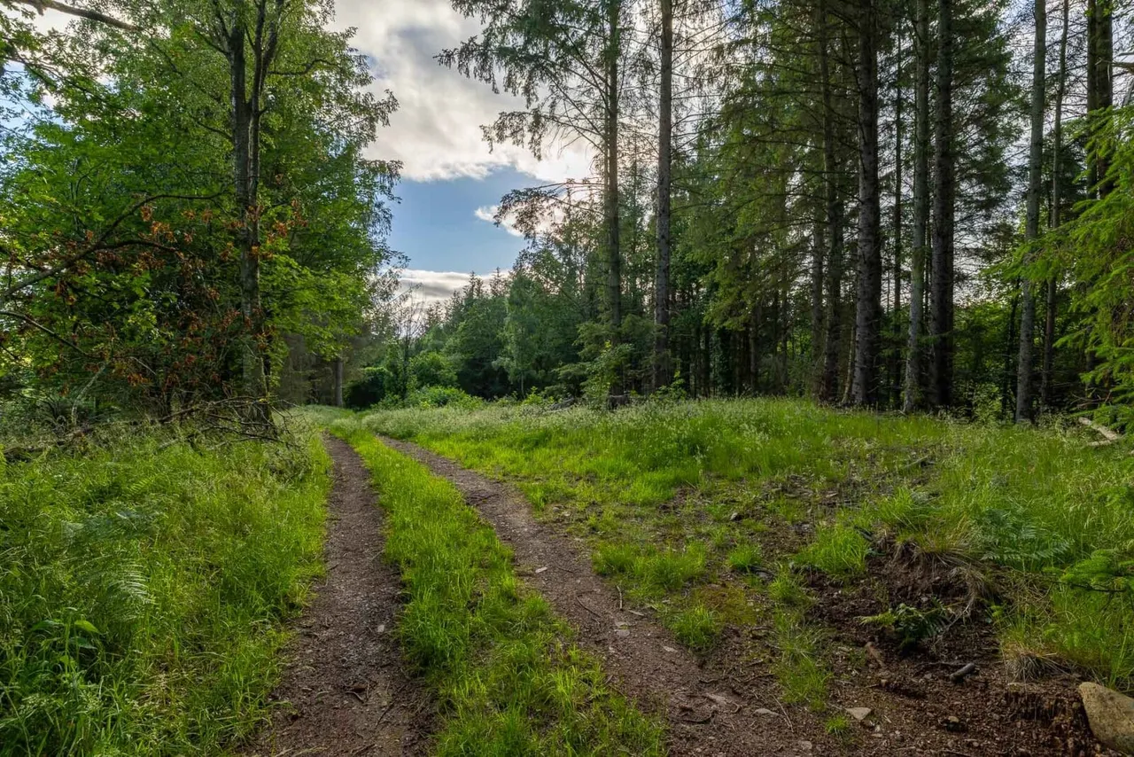 Land At Craighall Gate, Craighall Castle Drive, Rattray, Blairgowrie, PH10 7HR, photo 4