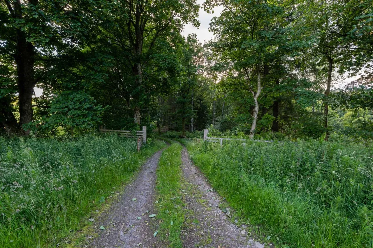 Land At Craighall Gate, Craighall Castle Drive, Rattray, Blairgowrie, PH10 7HR, photo 10