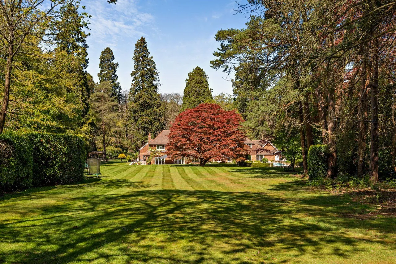 Wellingtonia Avenue, Crowthorne, Berkshire, RG45 6AE, photo 2