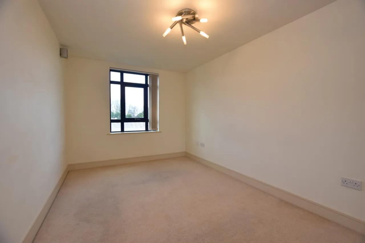 Equilibrium, Plover Road, photo 5