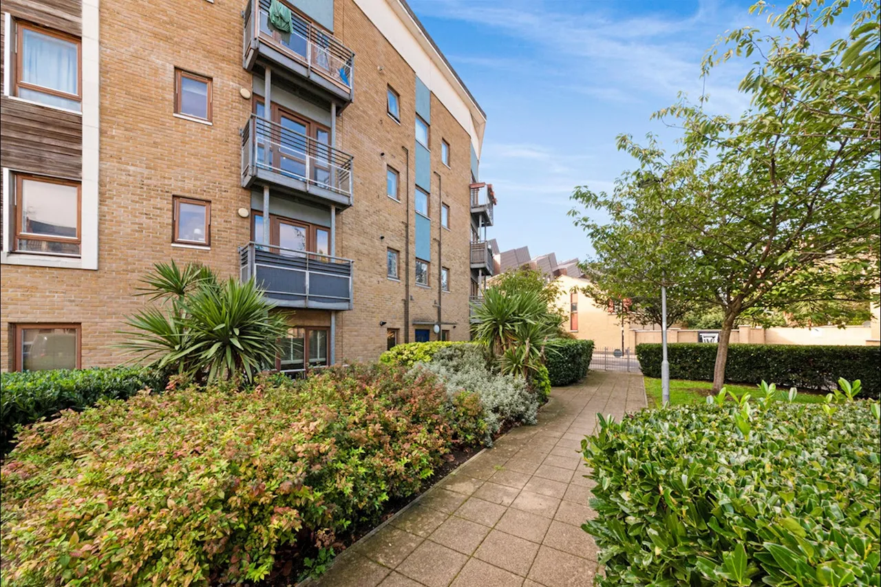 morris Road, london, photo 12