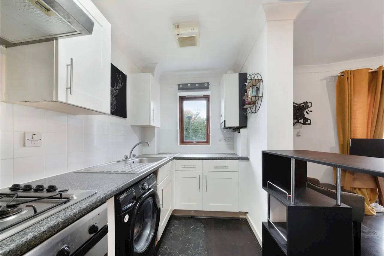 morris Road, london, photo 8