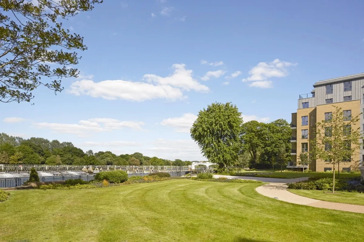 Pinewood Gardens, Teddington, TW11, photo 9