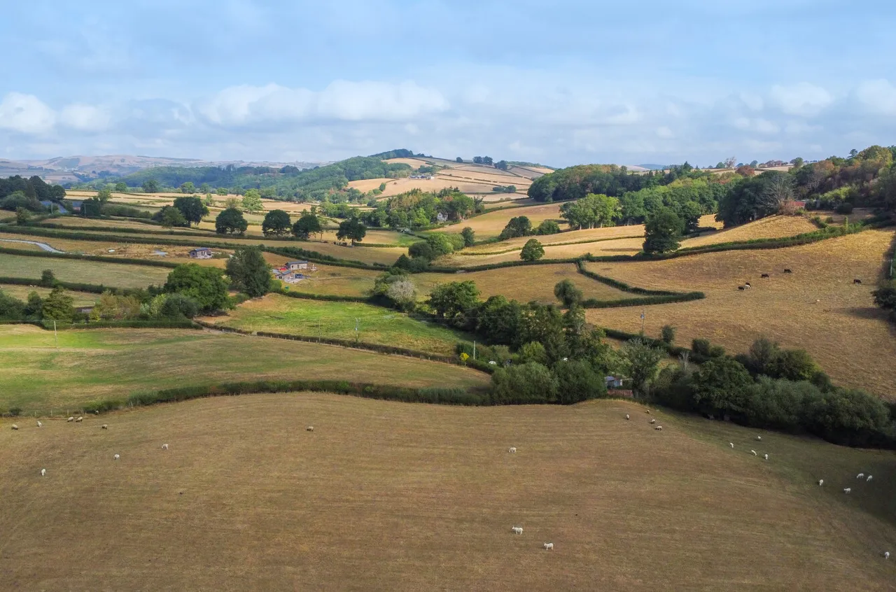 Oakley Park, Llanidloes, photo 34