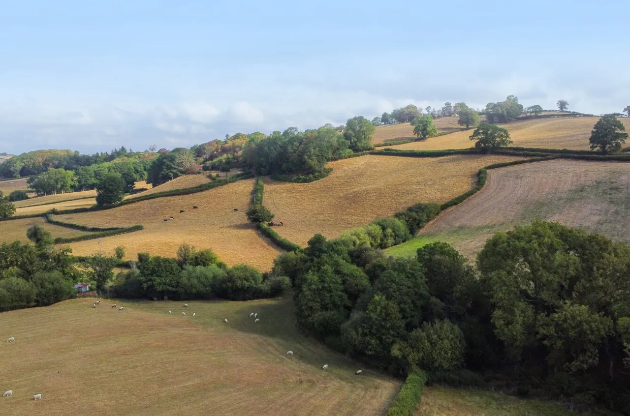 Oakley Park, Llanidloes, photo 35