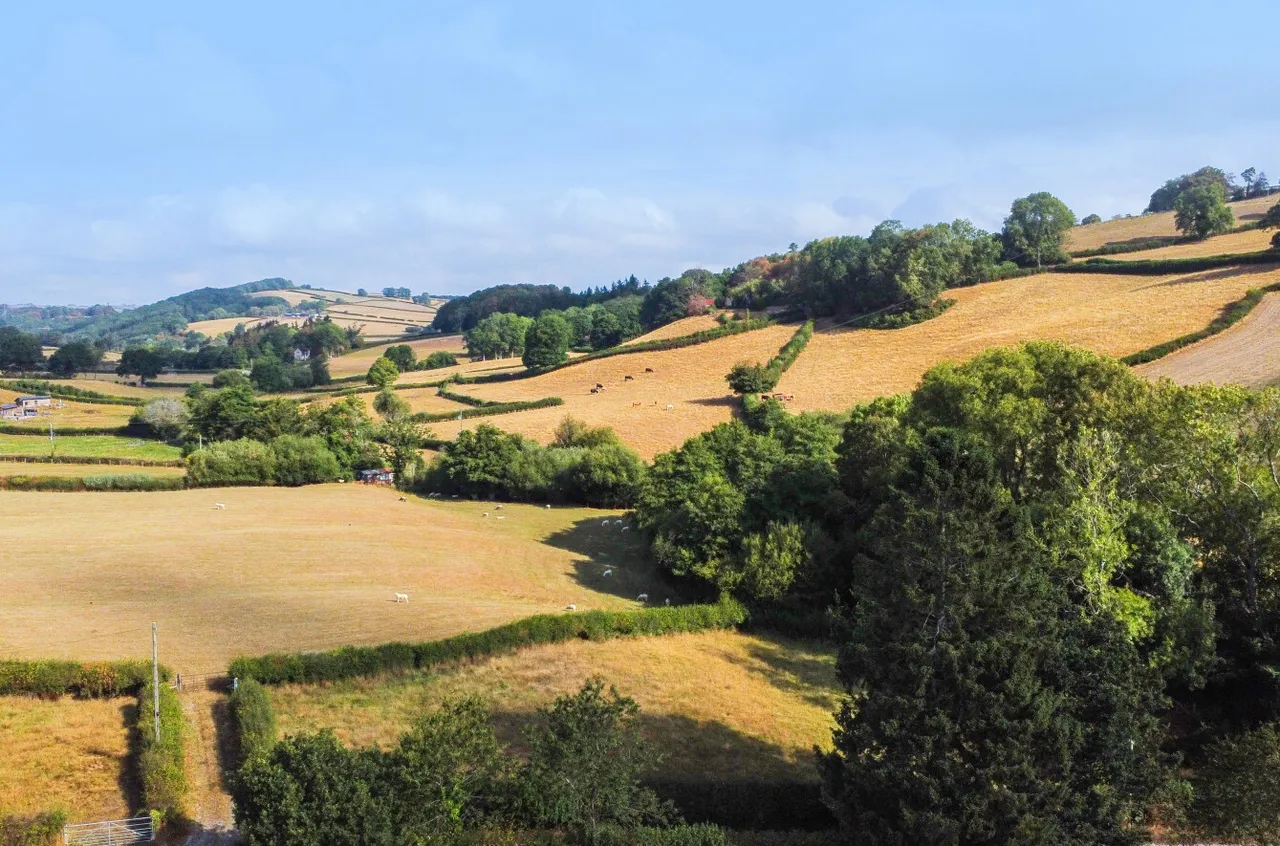 Oakley Park, Llanidloes, photo 48