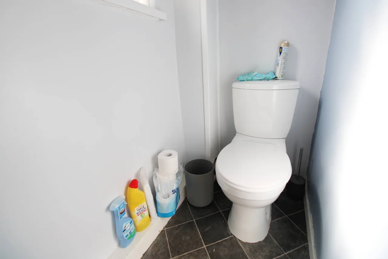 Melbourne Gardens, South Shields, NE34, photo 10