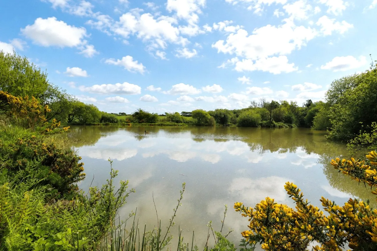 Woolsery, Bideford, photo 41