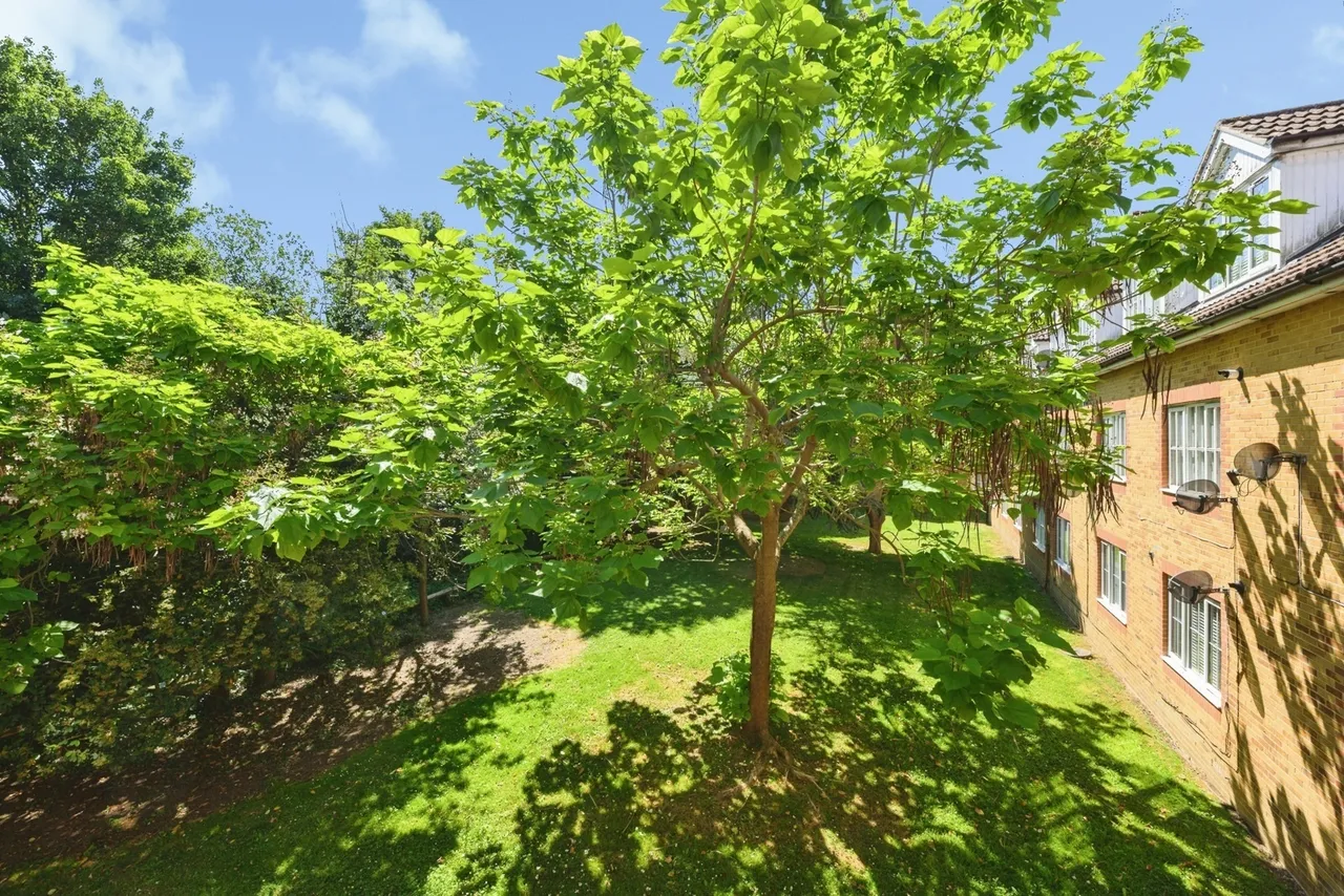 Aspen Vale, Whyteleafe, Surrey, CR3, photo 6