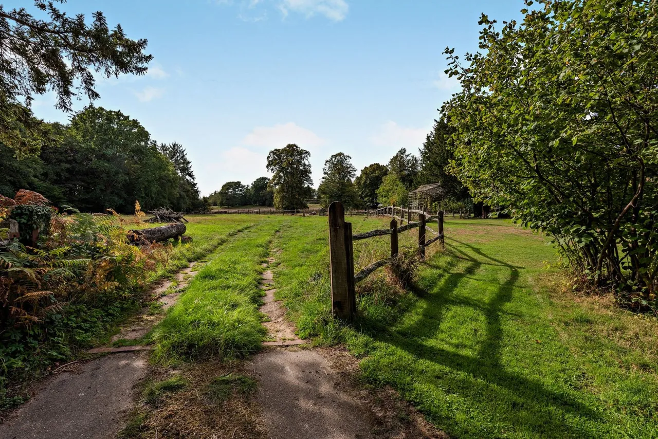 Thursley Road, Churt, GU10, photo 4