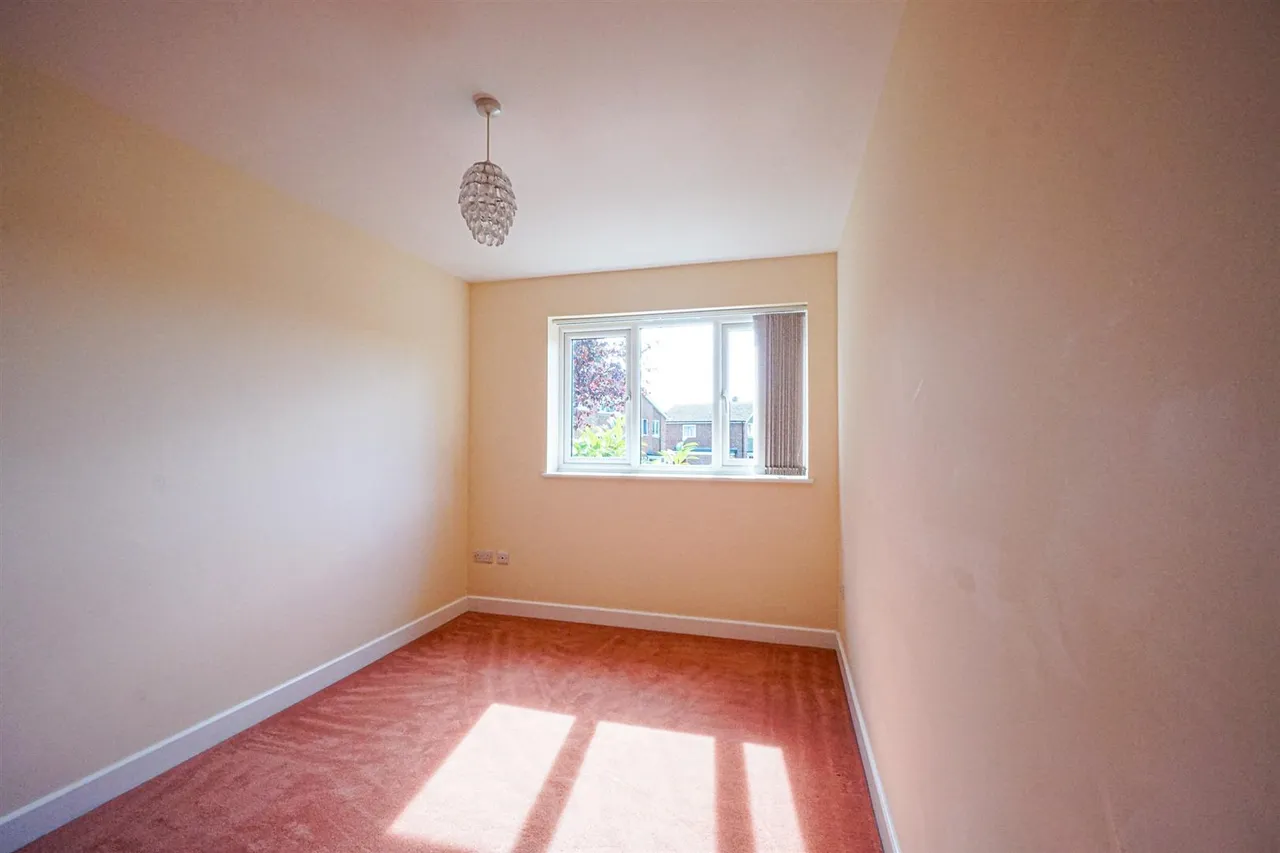 Birch Way, Hastings, photo 10
