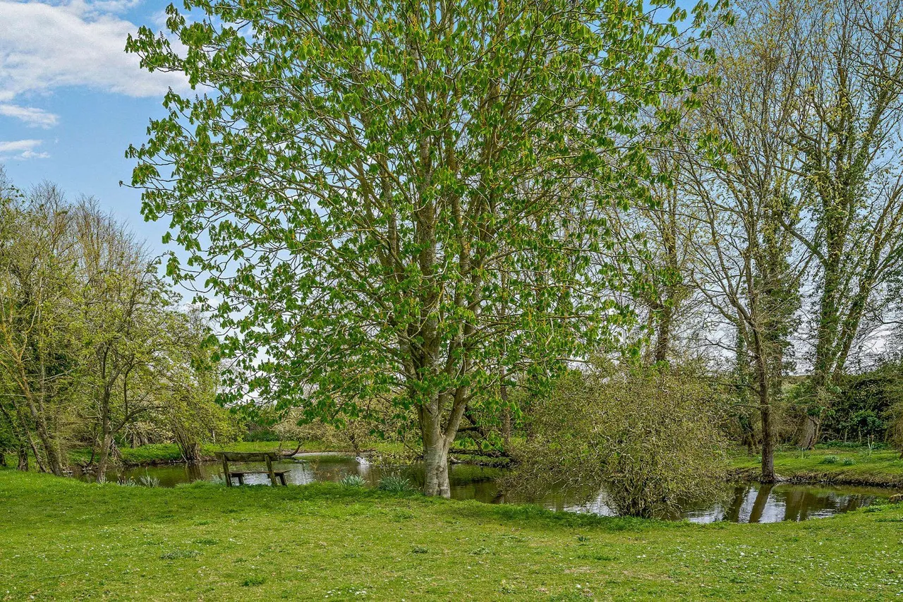 Sheepcotes Lane, Silver End, CM8, photo 18