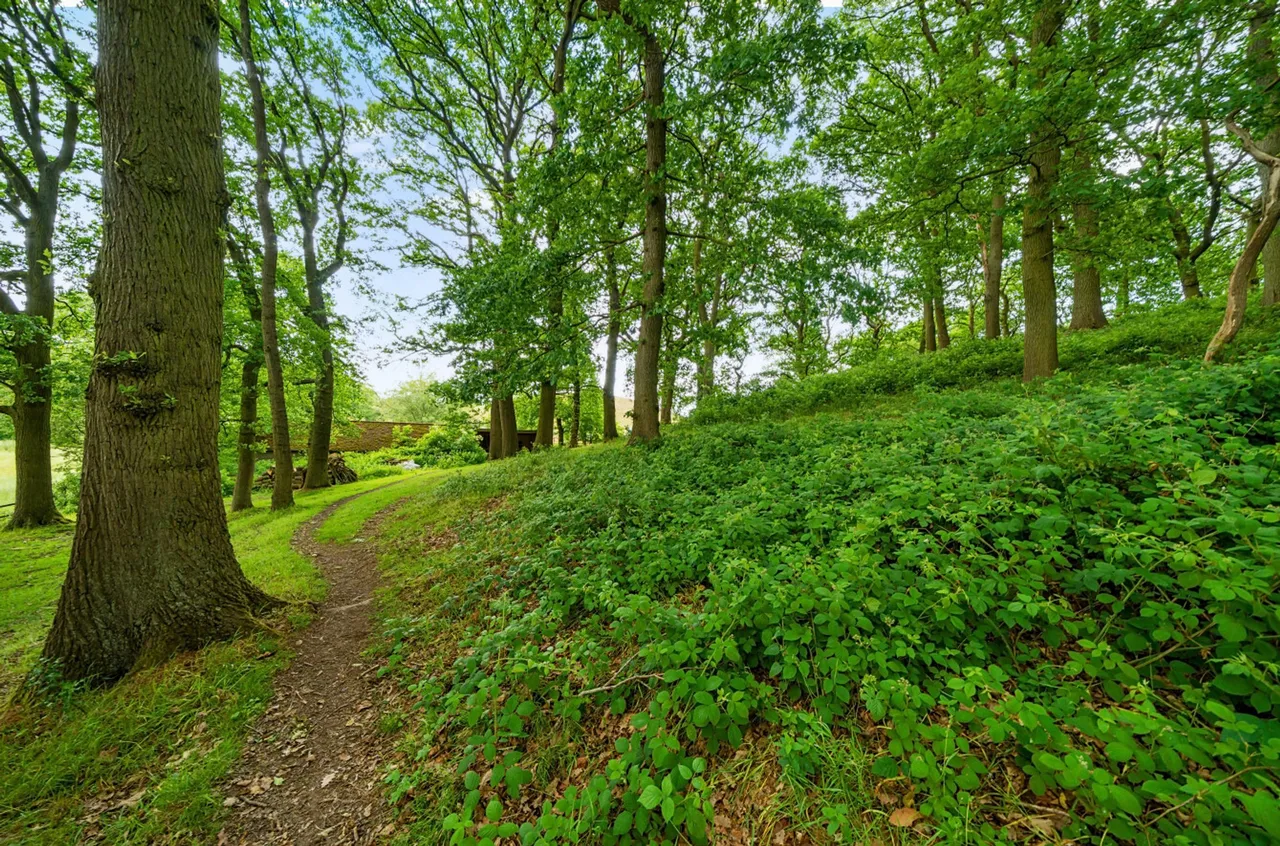 Mancetter, Atherstone, CV9, photo 5