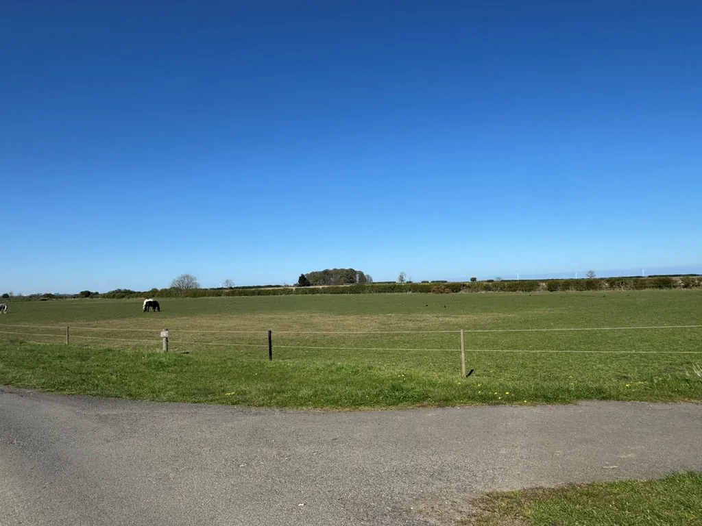 Whitley Bay NE25 0SR, NE25, photo 15